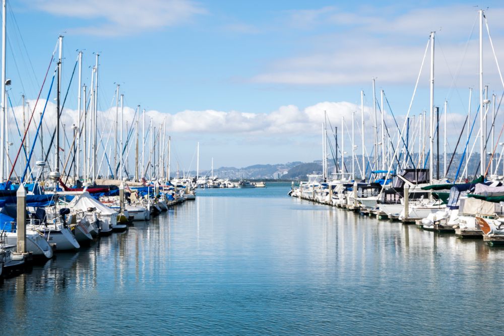 Boats docked at Emeryville Marina Park