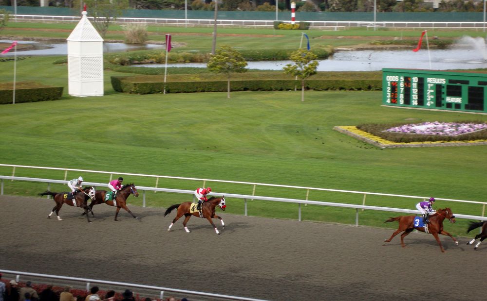 Horse race in Golden Gate Fields