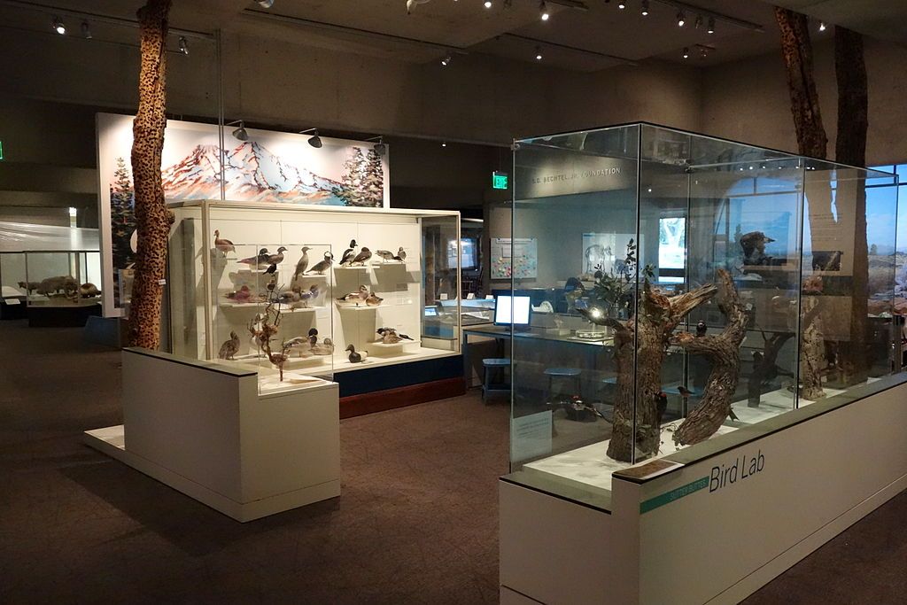 Interior of Oakland Museum of California