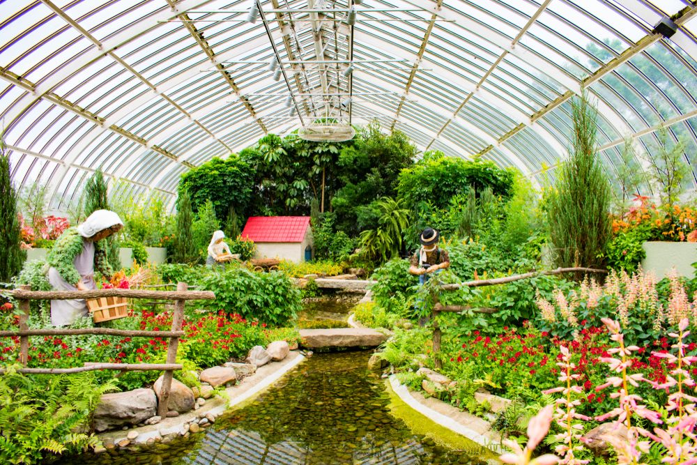 Flora in Phipps Conservatory and Botanical Gardens in Pittsburgh
