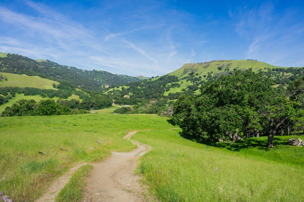 Scenic view of Sunol Regional Wilderness
