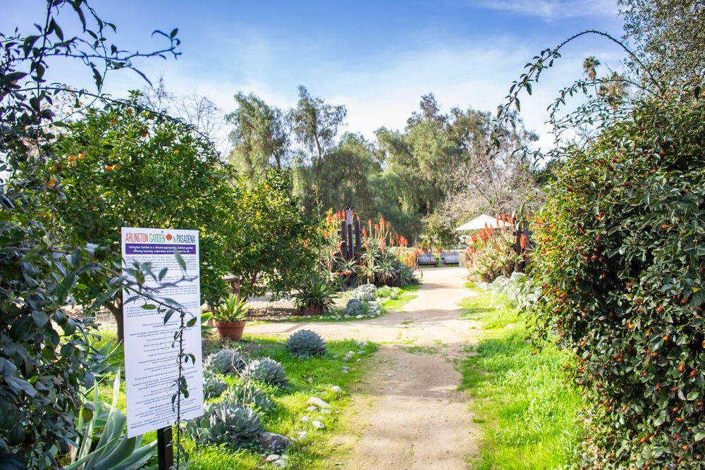 Trail at Arlington Garden