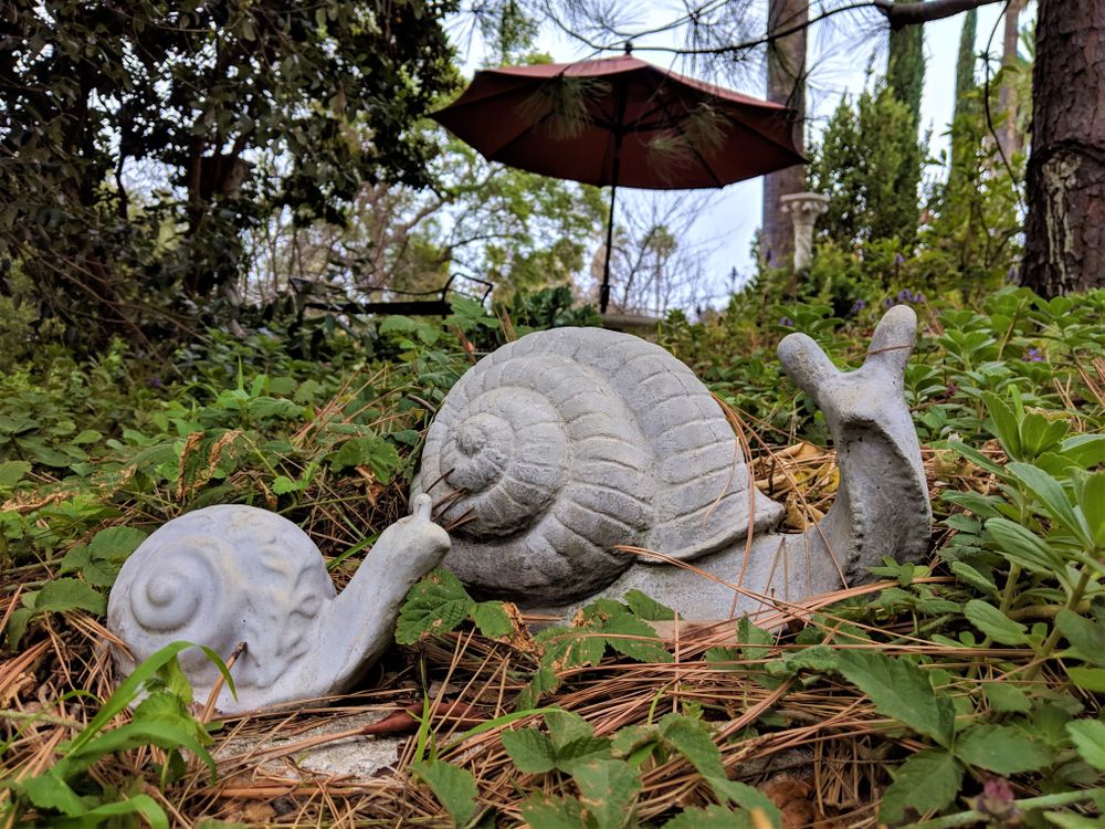 Stone snails at Arlington Garden