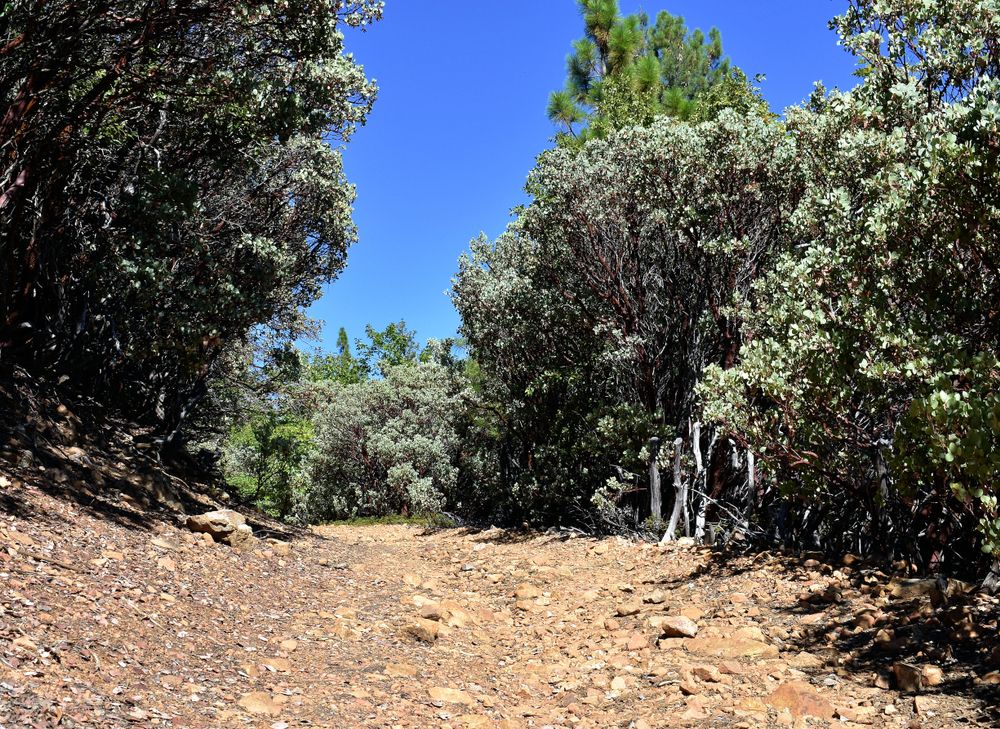 Hiking trail at Arnold Rim Trail