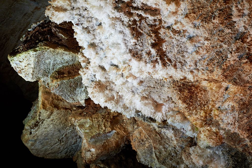 Aragonites at Mercer Caverns