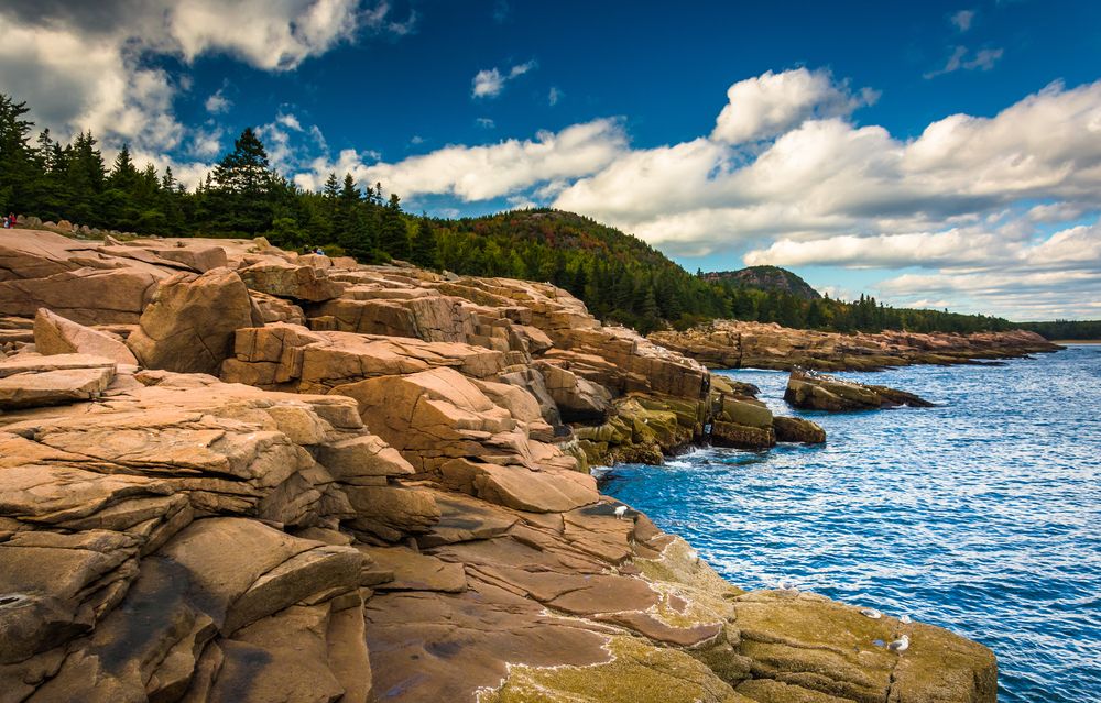 Scenic view of the Otter Cliff Overlook
