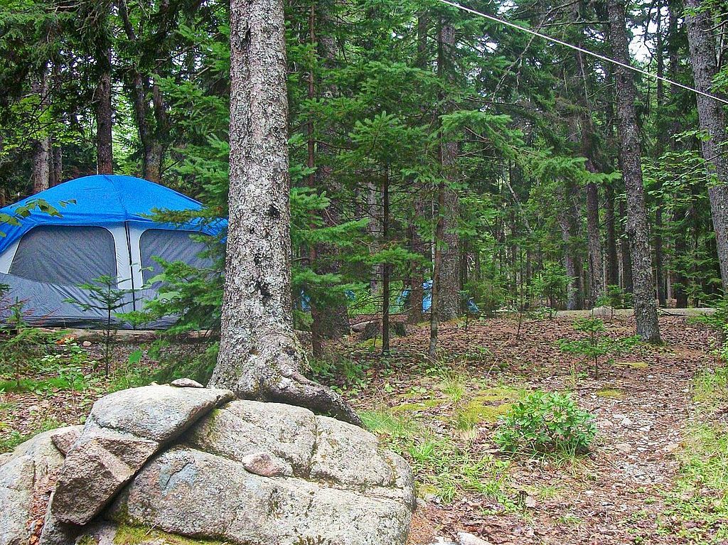 A tent on Blackwoods Campground