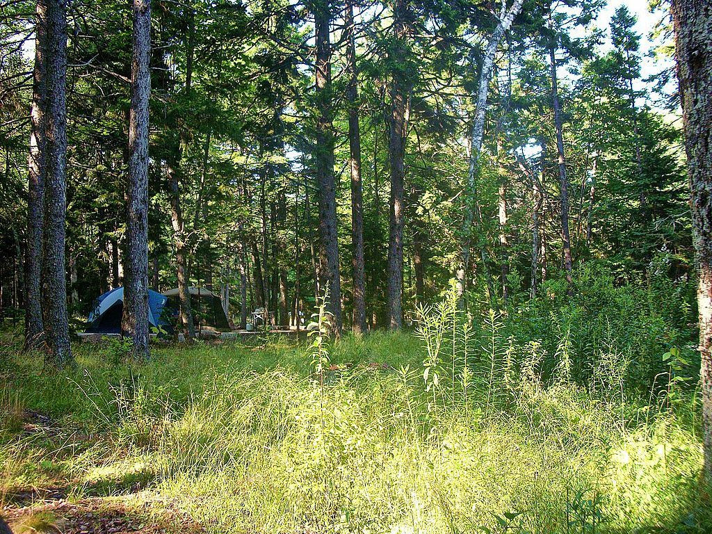 Tent site of Blackwoods Campground