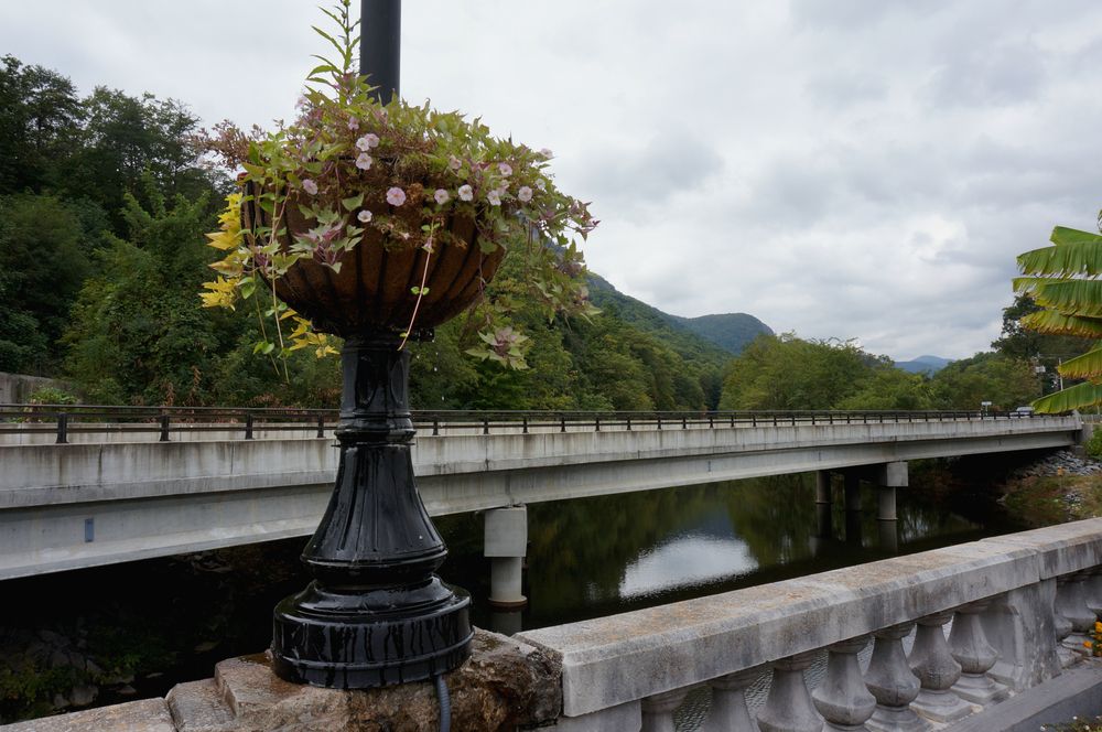 Potted plants at Lake Lure Flowering Bridge