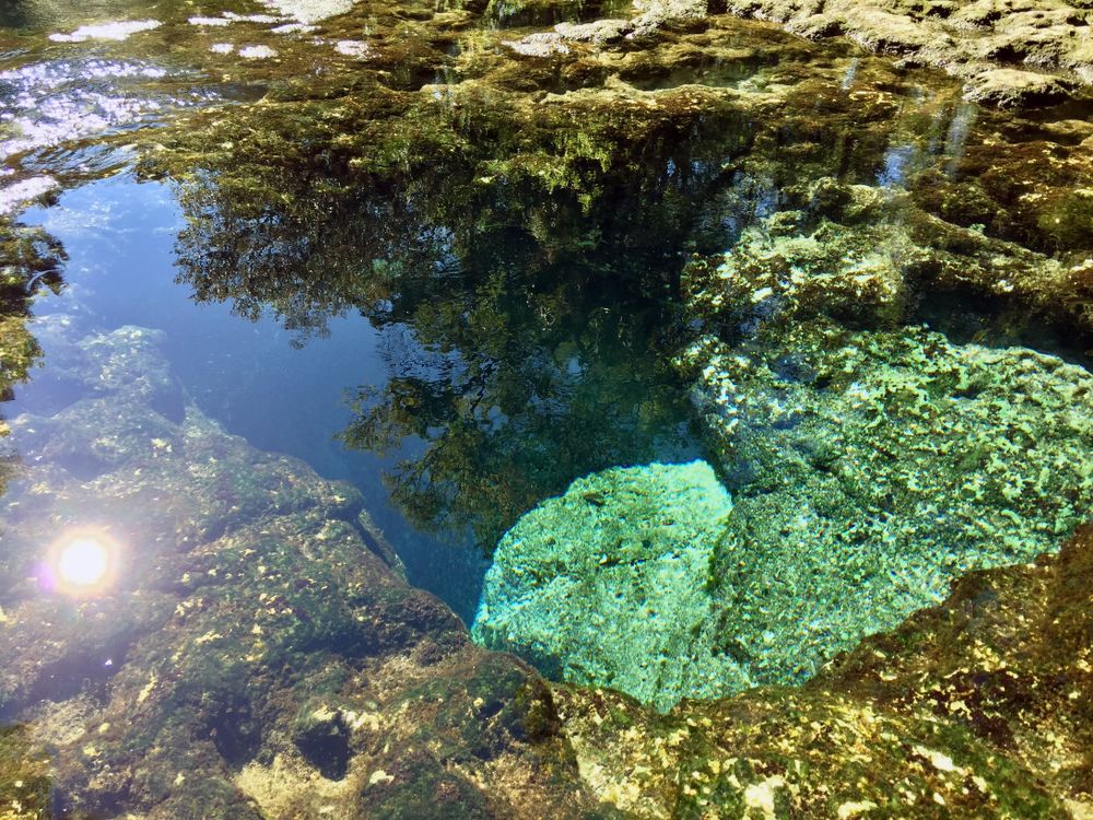 Clear Water of 7 Sisters Springs
