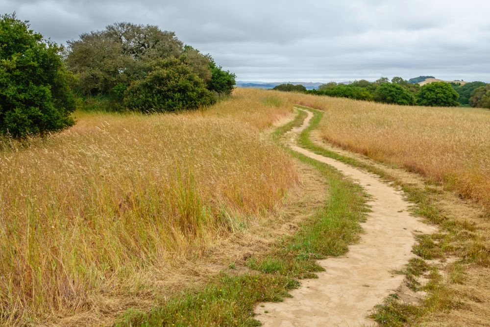 View of Helen Putnam Regional Park