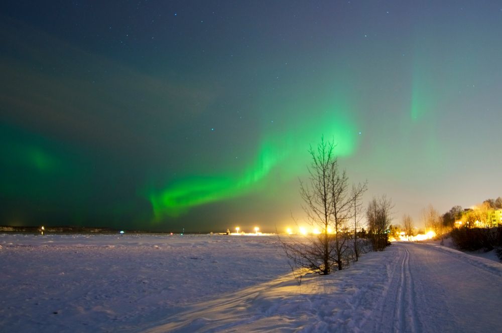 View of Northern Lights from a winter trail