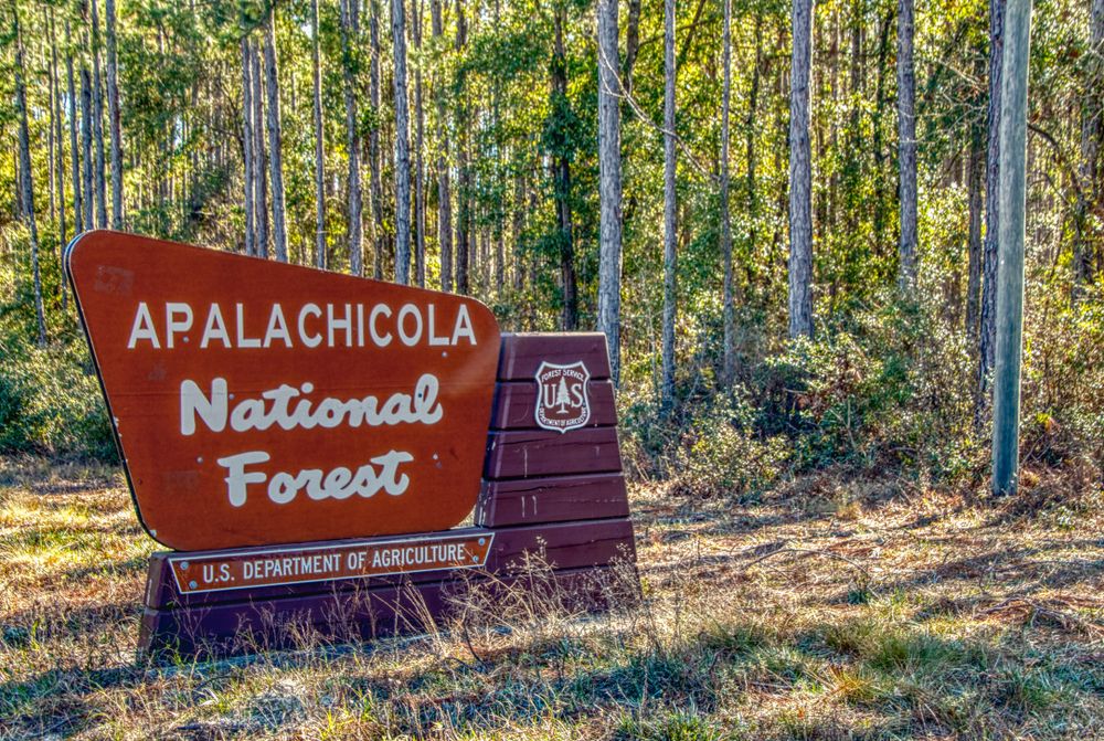 Welcome sign of Apalachicola National Forest