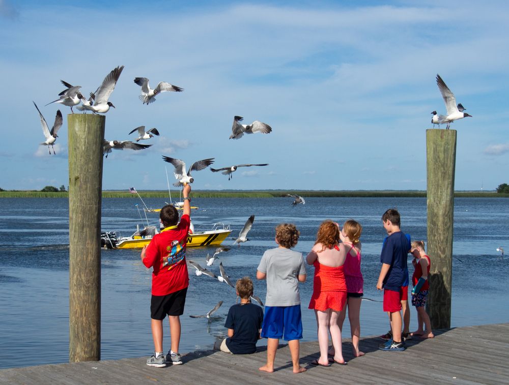 Children feeding the birds at Apalachicola River dock