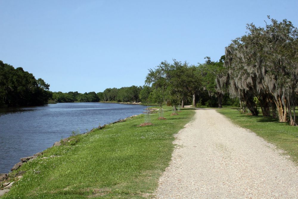 A trail at Bayou Petite Anse