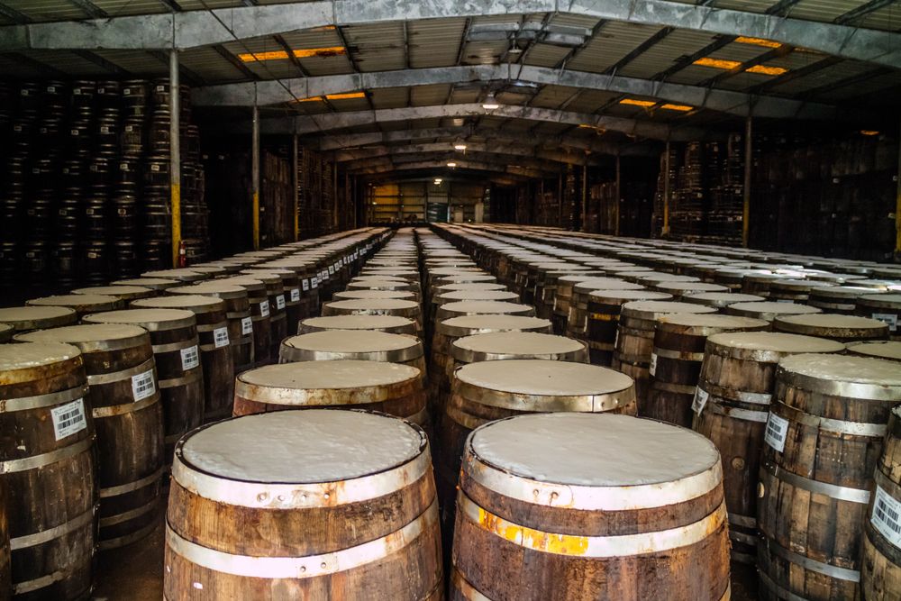 Barrels in the TABASCO museum