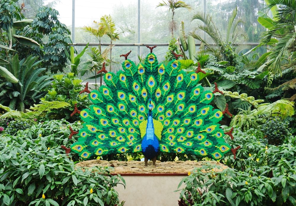 A peacock-shaped sculpture at Reiman Gardens