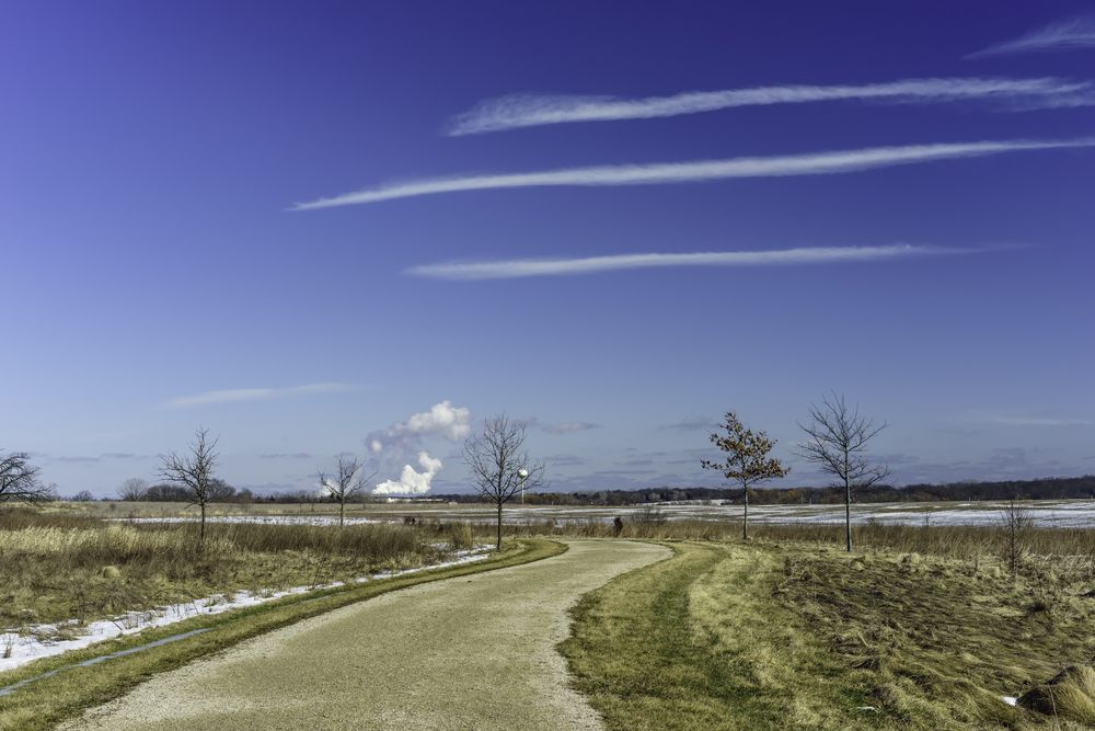 Trail at Raven Glen Forest Preserve