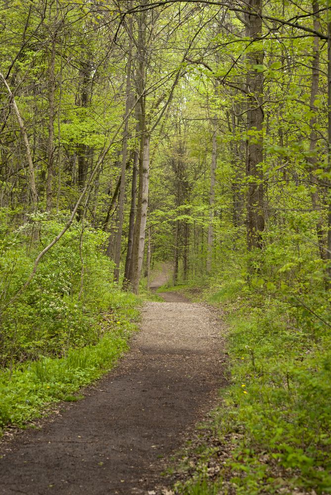 Nature trail in Pokagon State Park