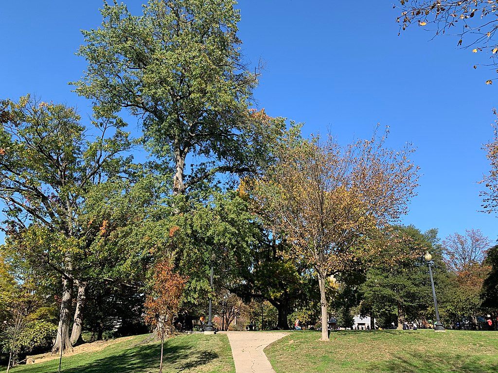 The grounds of Kalorama Park