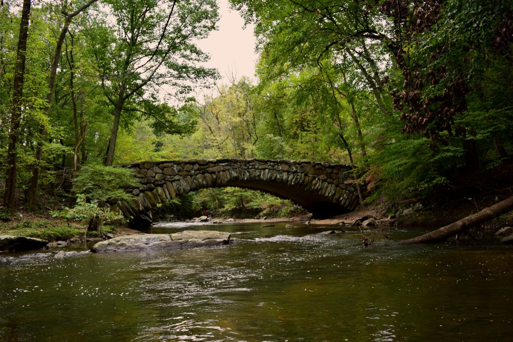 A bridge at Rock Creek Park