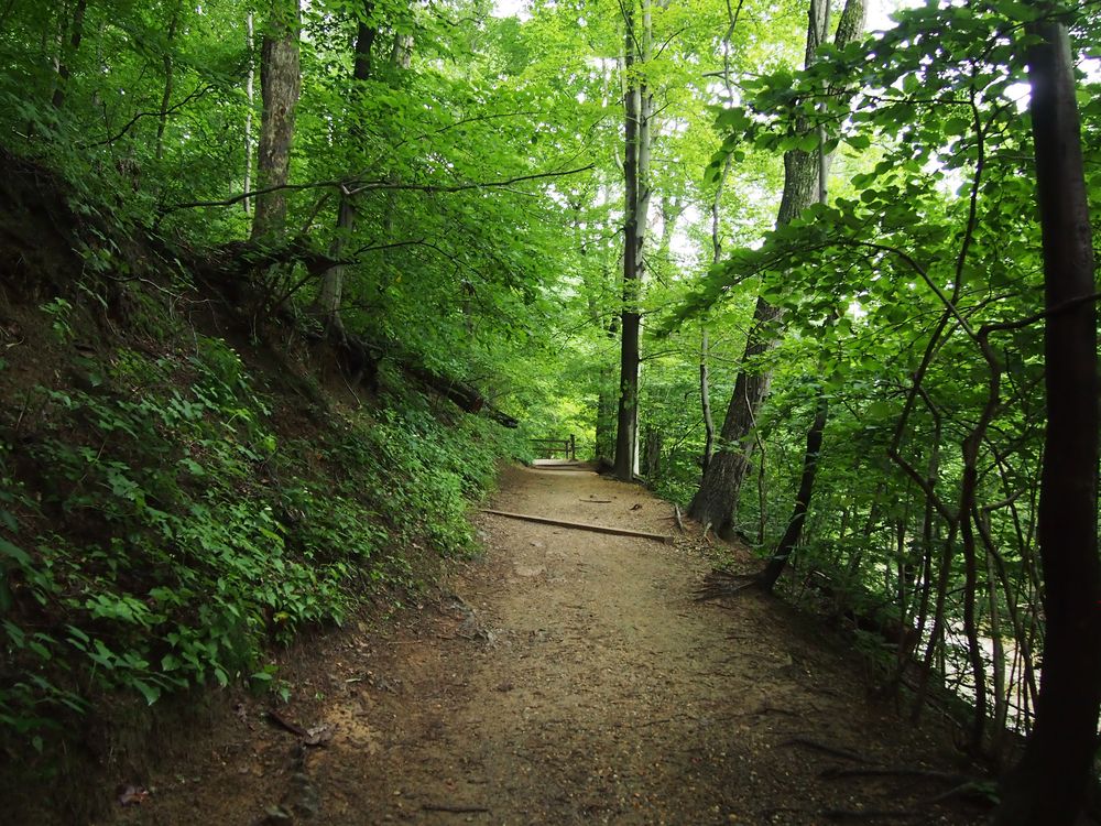 Nature trail at Rock Creek Park