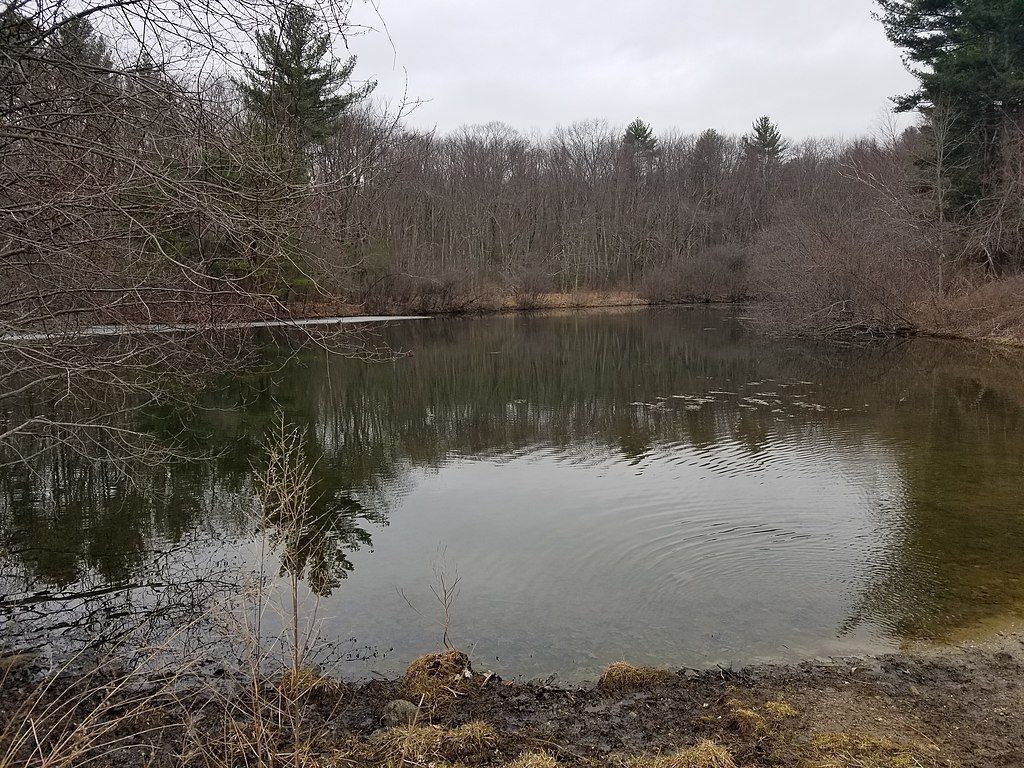 A pond at Great Hill