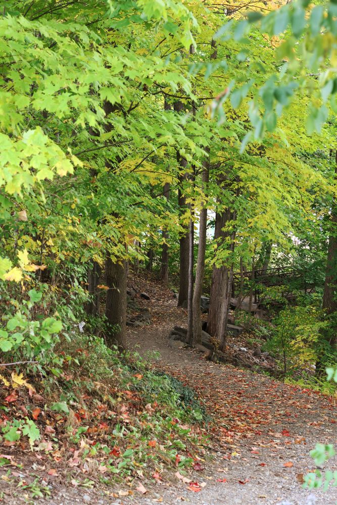 Nature trail at Kennebec River Rail Trail