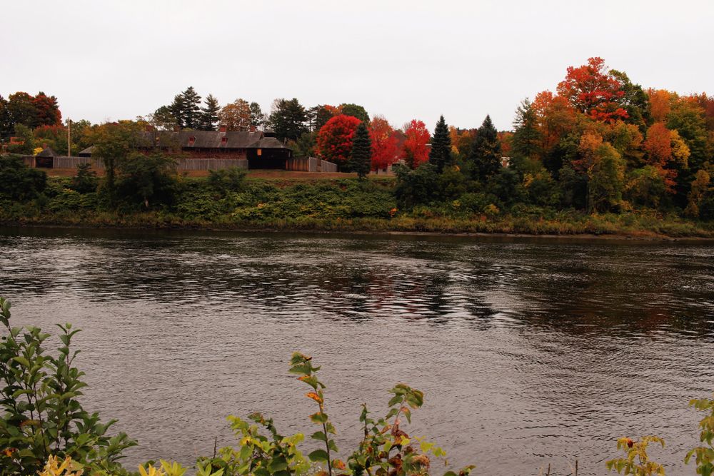 River view from Kennebec River Rail Trail