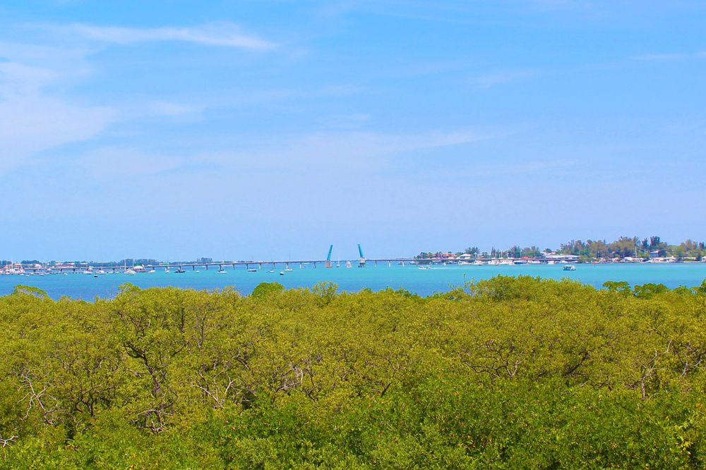 Daytime view of Leffis Key Preserve