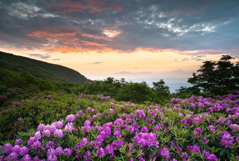 Scenic mountain views from Blue Ridge Parkway