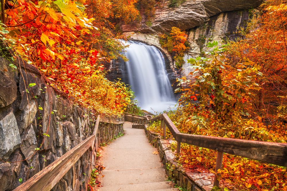 Trail leading to the looking glass falls at Pisgah National Forest