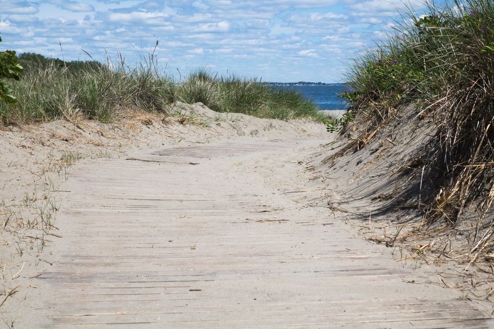 Sand trail of Sandy Point Beach