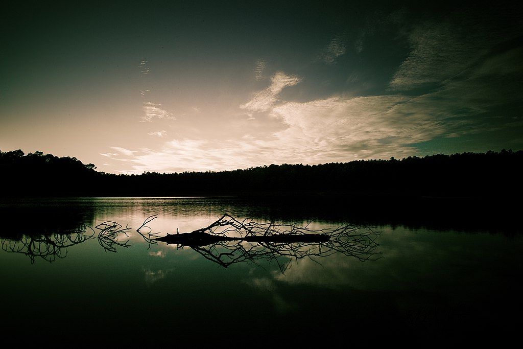 Sunset at Conecuh National Forest