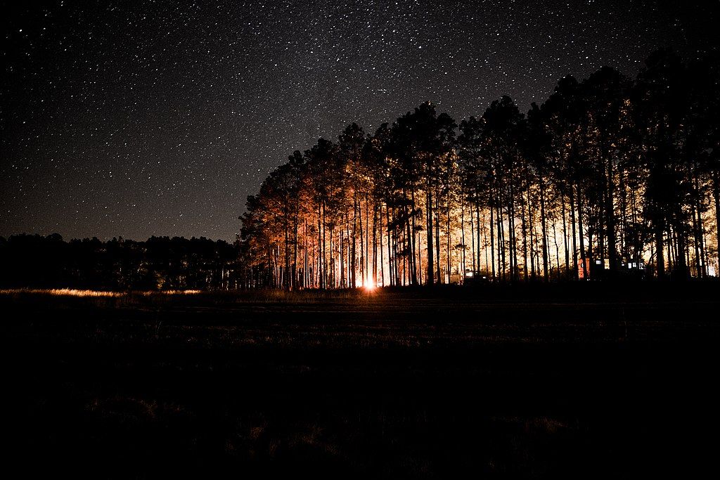 Night view of the Open Pond campground at Conecuh National Forest