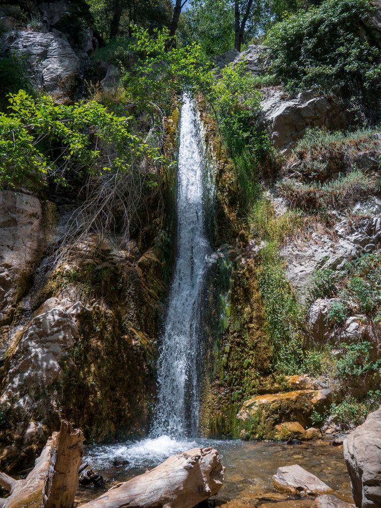 View of Angeles National Forest