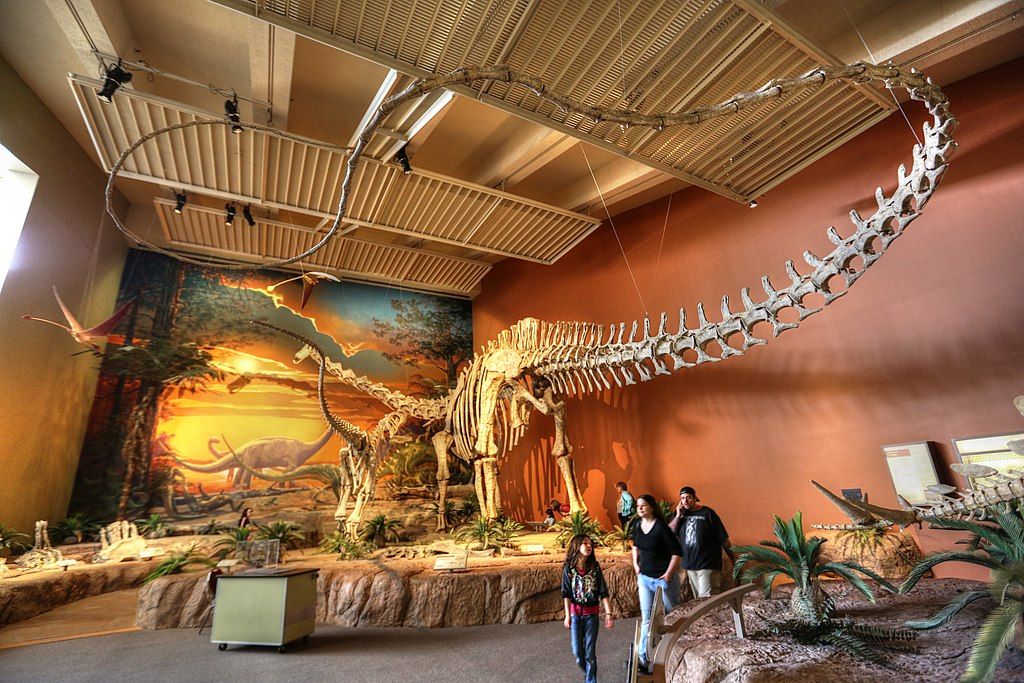 Interior of New Mexico Museum of Natural History and Science