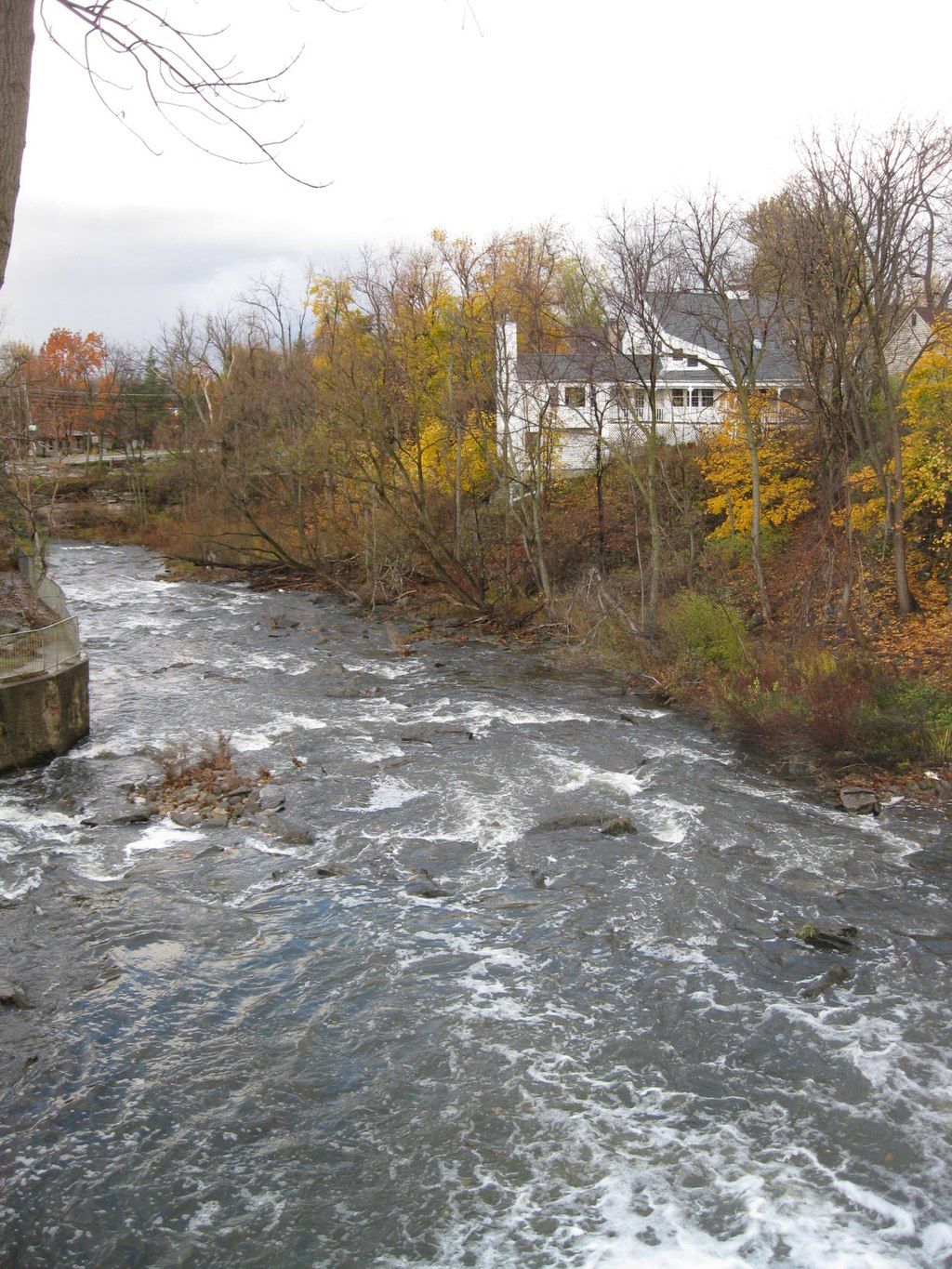 The waters of Ellicott Creek