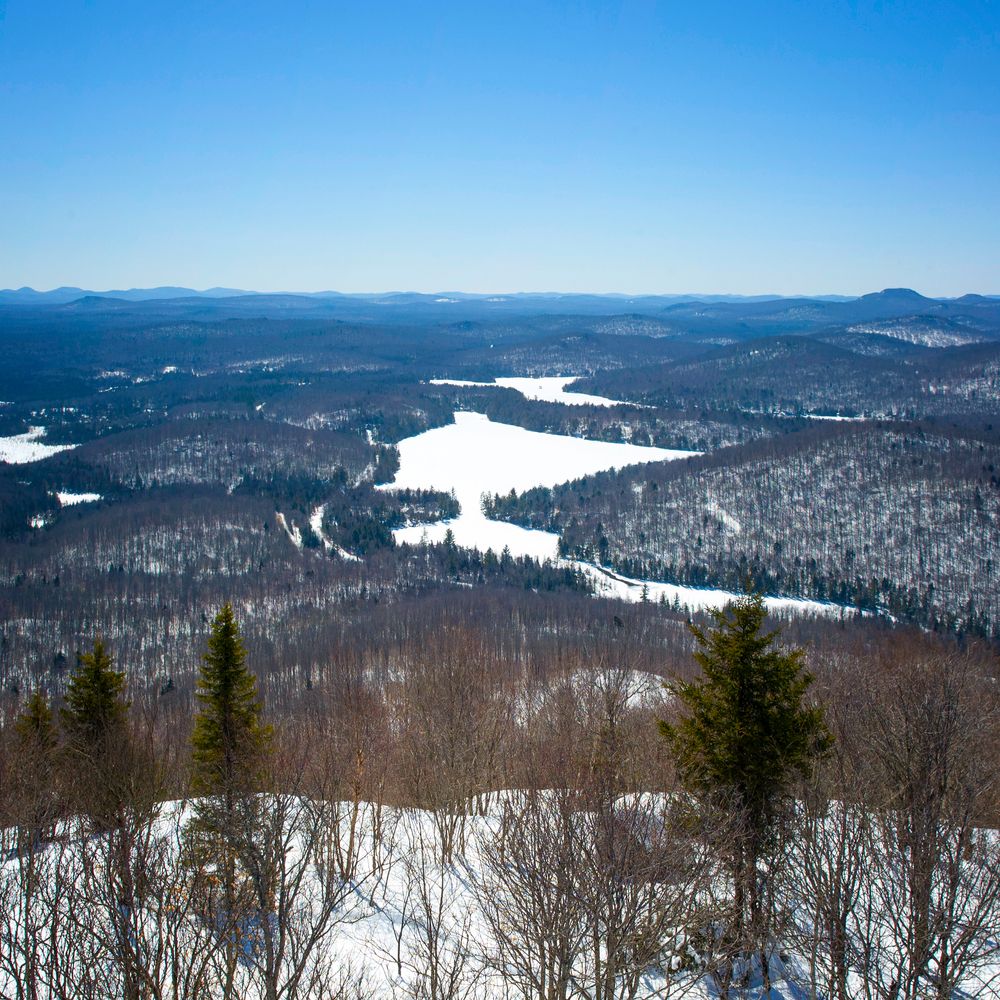 The view from Mount Arab
