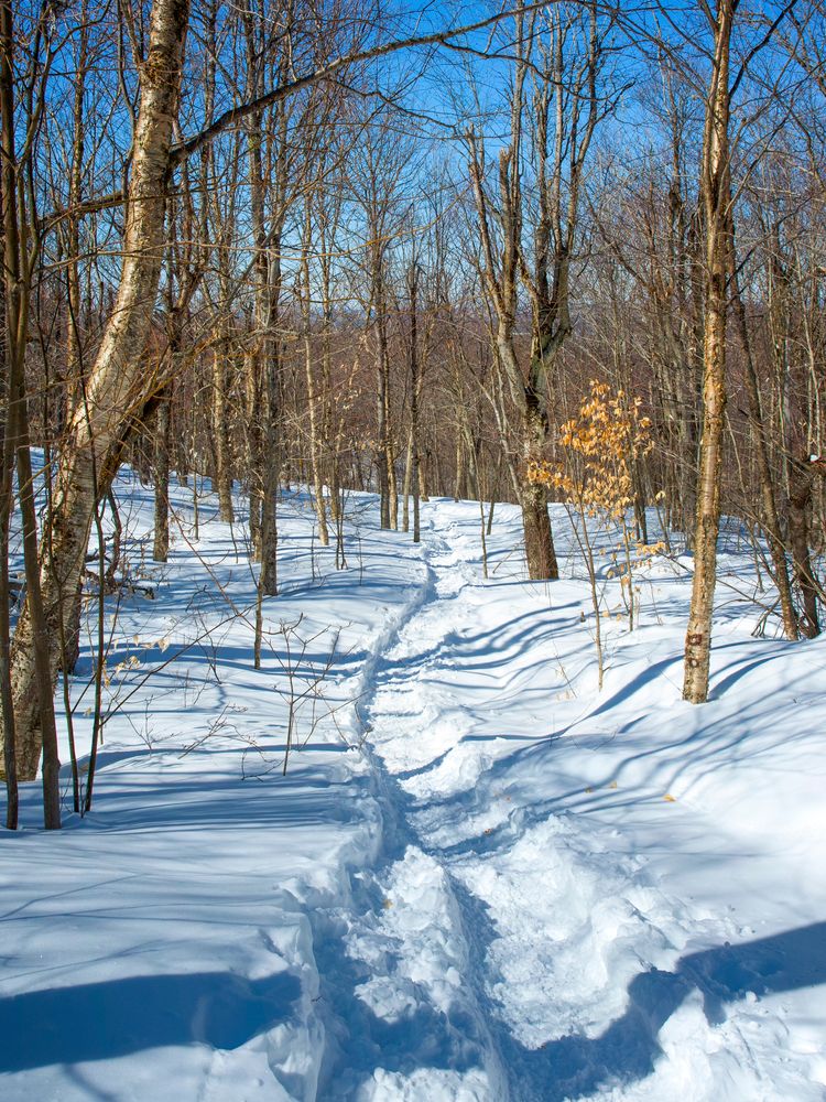 Snowy trail at Mount Arab