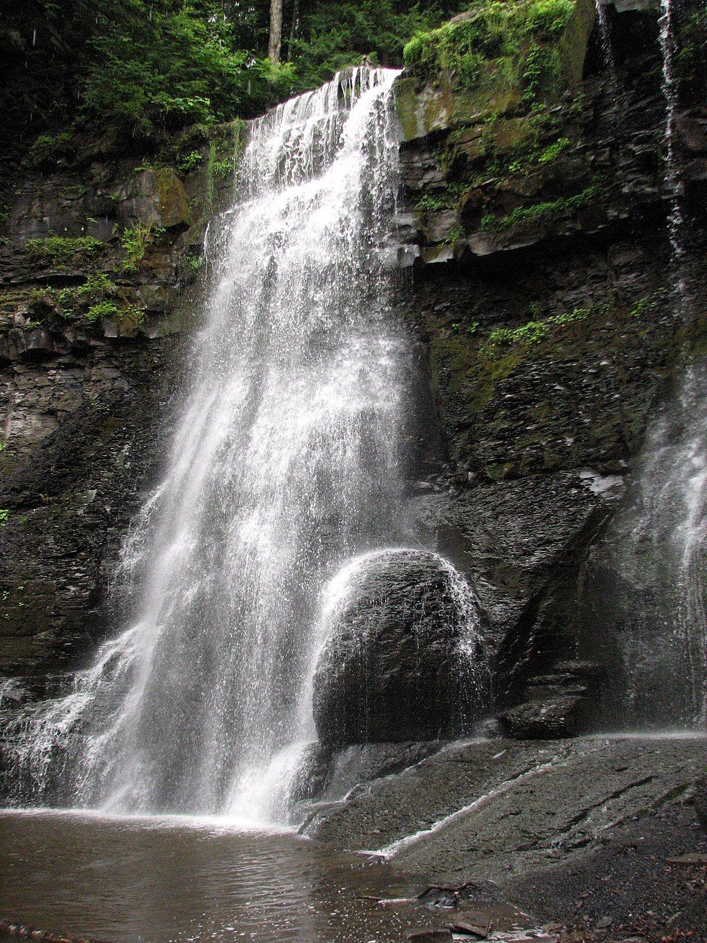 Upper falls of Plotter Kill Preserve