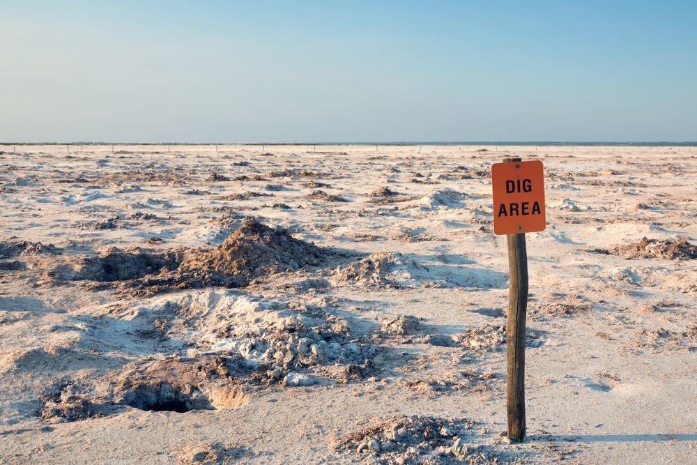 Crystal digging area at Salt Plains National Wildlife Refuge