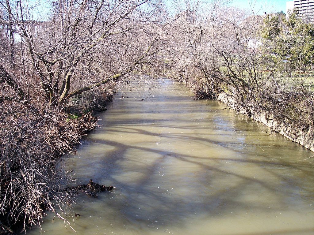Lehigh Creek at Bucky Boyle Park
