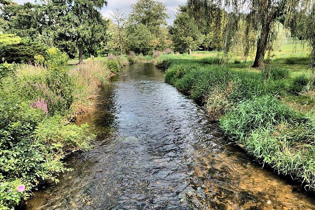 The waters of Cedar Creek Park