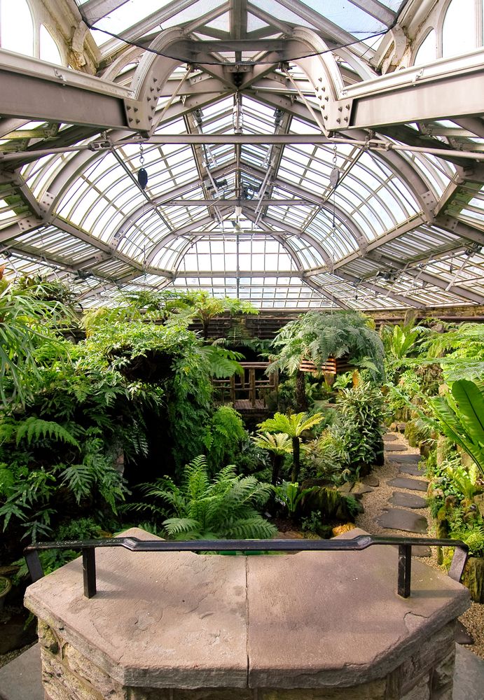 Interior of the conservatory at Morris Arboretum of the University of Pennsylvania