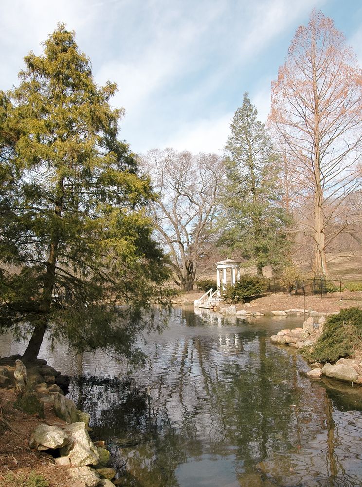 A pond at Morris Arboretum of the University of Pennsylvania