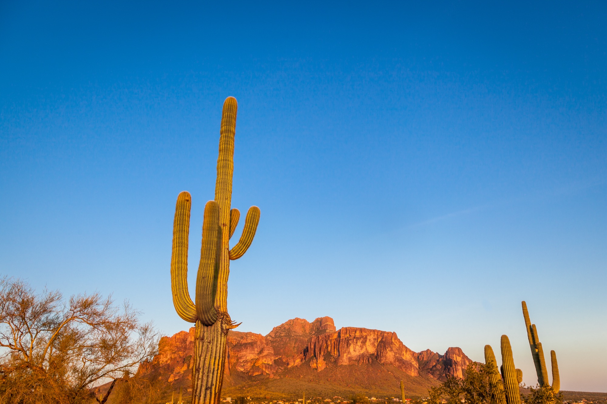 30 Incredible Photos of Apache Junction, AZ