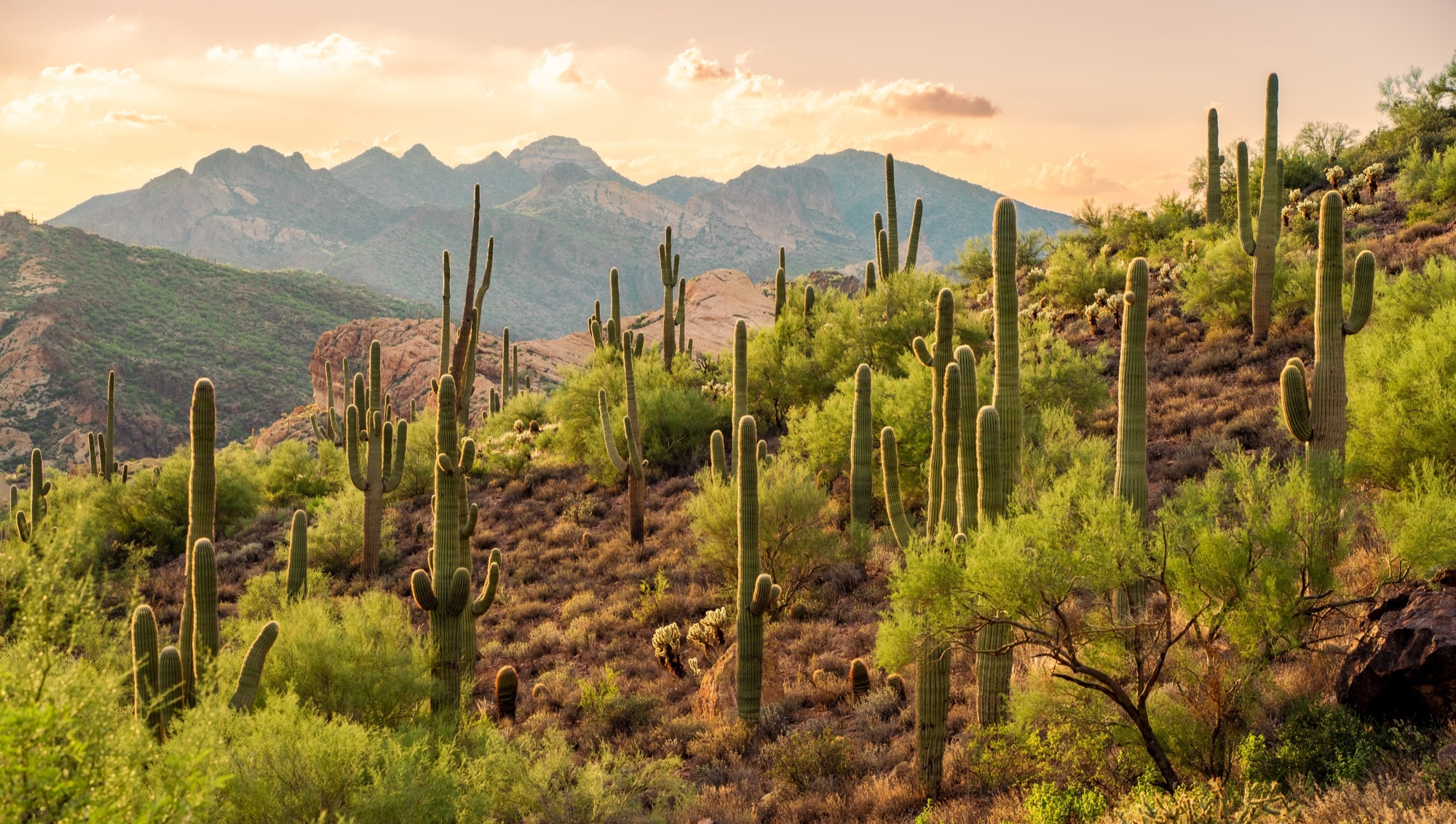 30 Incredible Photos of Apache Junction, AZ