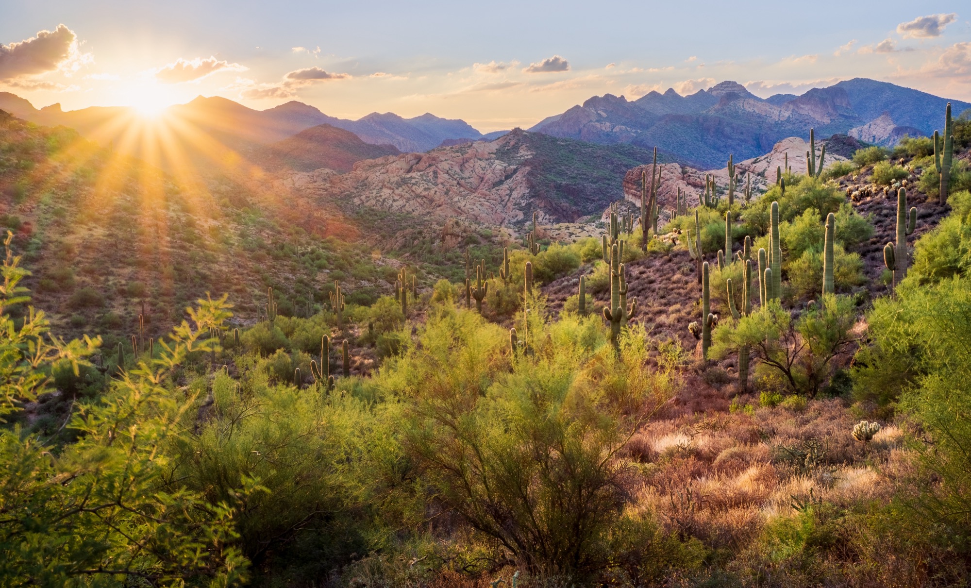30 Incredible Photos of Apache Junction, AZ