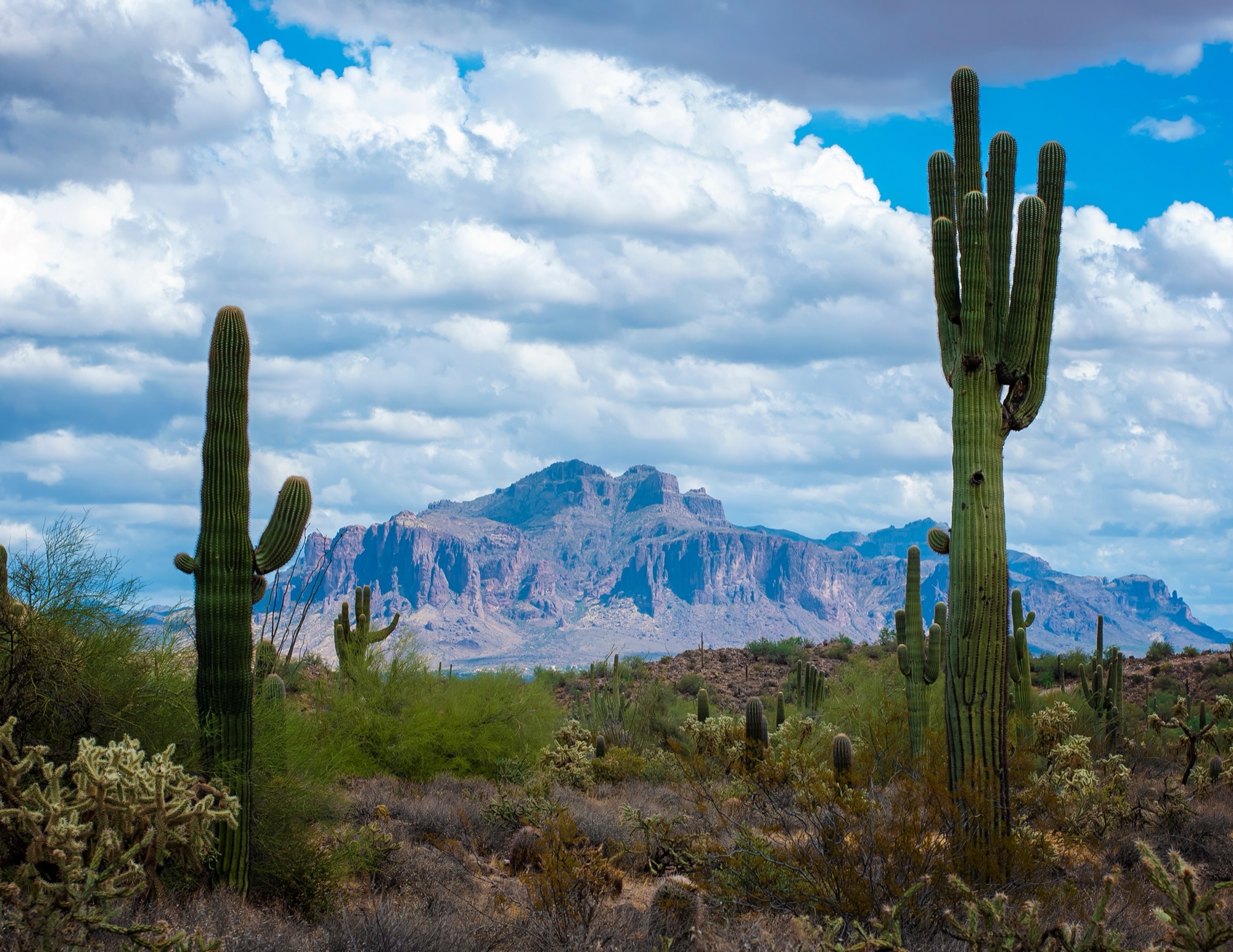 30 Incredible Photos of Apache Junction, AZ